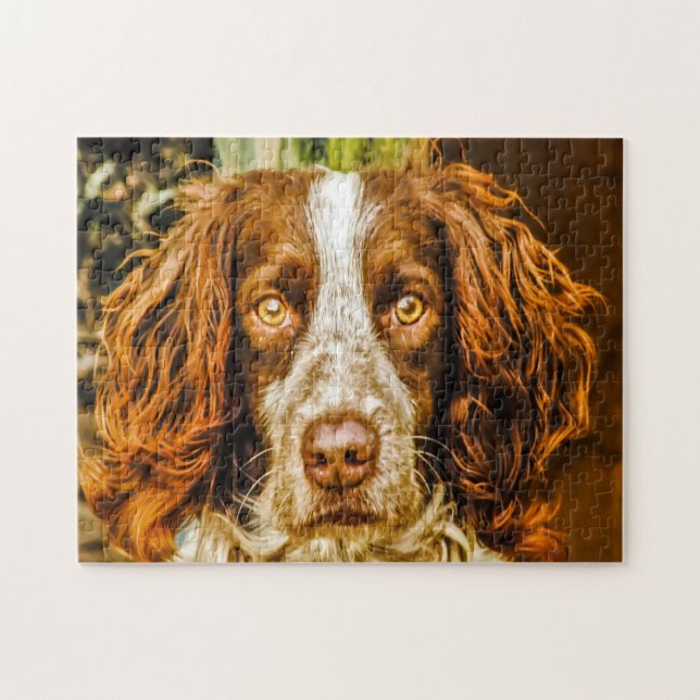 Springer Spaniel Hund Jigsaws. (Horizontal)