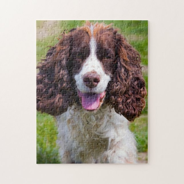 Springer Spaniel Hund Jigsaws. (Vertikal)