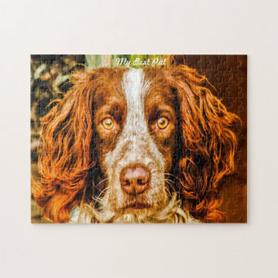 Springer Spaniel Hund Puzzles.