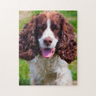 Springer Spaniel Hund Puzzles.