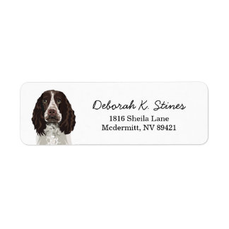 Springer Spaniel Hund Rücksendeadresse