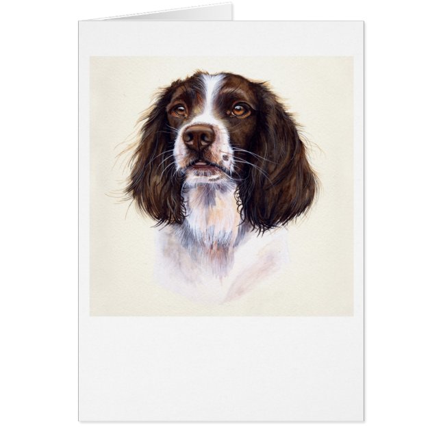Springer Spaniel in Aquarellfarbe gestrichen (Vorne)