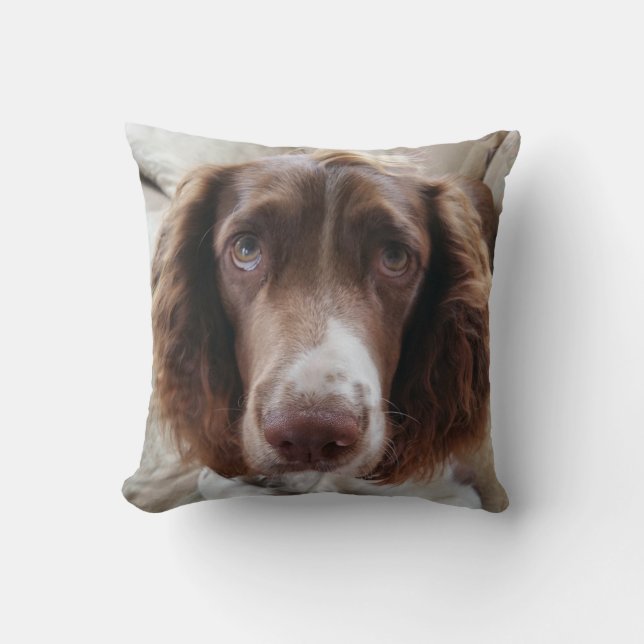 Springer Spaniel Kissen/springerface Kissen (Vorderseite)