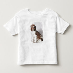 Springer Spaniel Kleinkind T-shirt