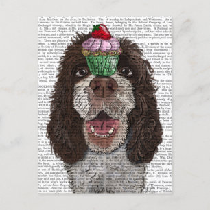 Springer Spaniel mit Cupcake Postkarte