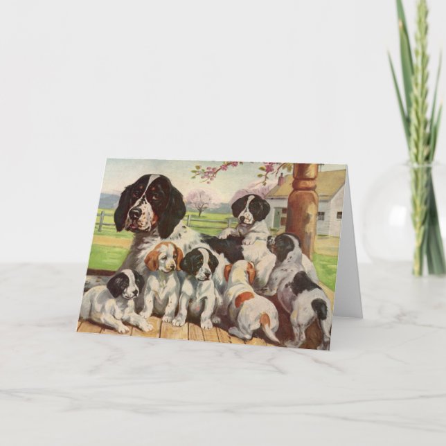 Springer spaniel Mutti und Welpen Karte (Vorderseite)