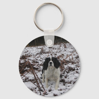 Springer Spaniel, Schlüsselring Schlüsselanhänger