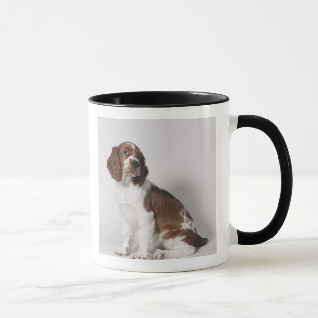 Springer Spaniel Tasse (Rechts)