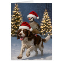 Springer Spaniel und Rebhuhn Weihnachtskarte