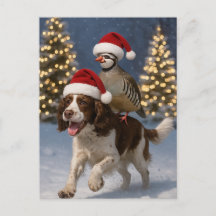 Springer Spaniel und Rebhuhn Weihnachtskarte