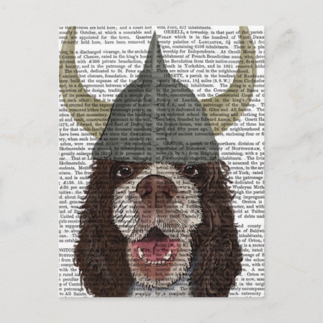 Springer Spaniel Viking Postkarte (Vorderseite)