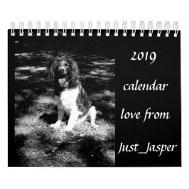 Springer Spanielkalender Kalender