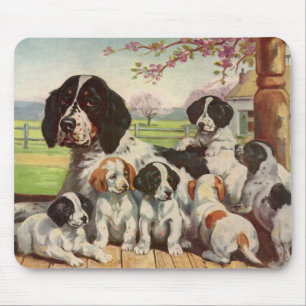 Springer Spanielmamma und -welpen Mousepad