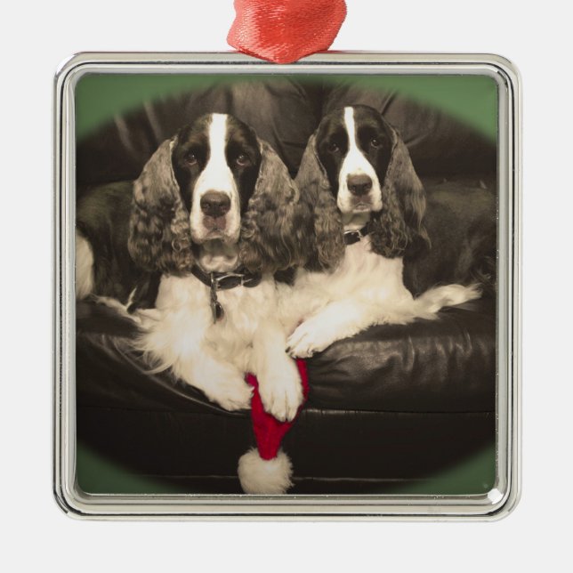 Springer-Spaniels-Verzierung Silbernes Ornament (Vorne)