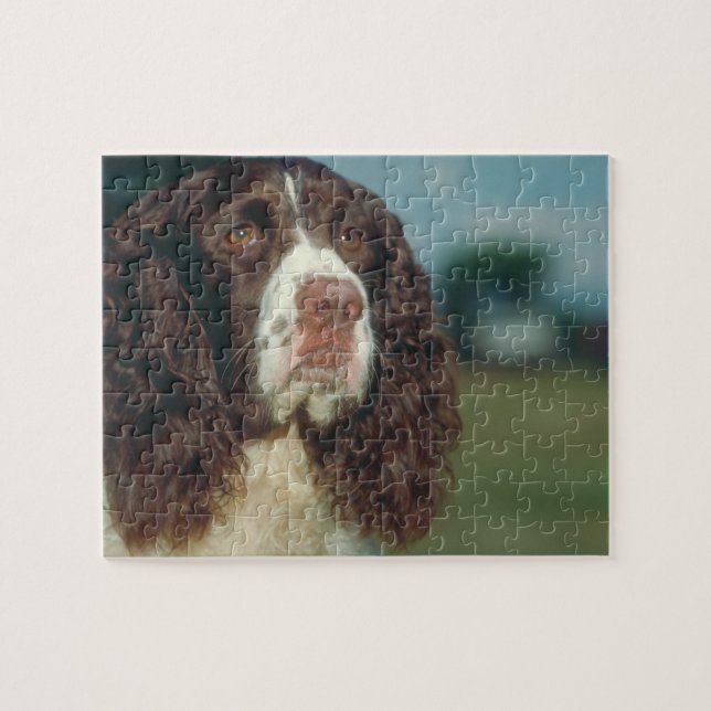 Springerspaniel-Hundepuzzlespiel (Horizontal)
