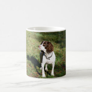 Springerspaniel-HundeTasse Kaffeetasse