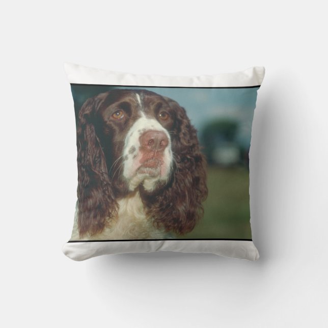 Springerspaniel-HundMoJo Kissen (Vorderseite)