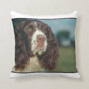 Springerspaniel-HundMoJo Kissen