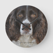 Springerspaniel-runde Wanduhr