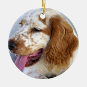Springerspaniel-Welpen-Verzierung Keramikornament
