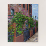 Springfield Missouri Street<br><div class="desc">Gorgeous and unique puzzle sure to bring hours of relaxation to your down time or great as a gift.</div>