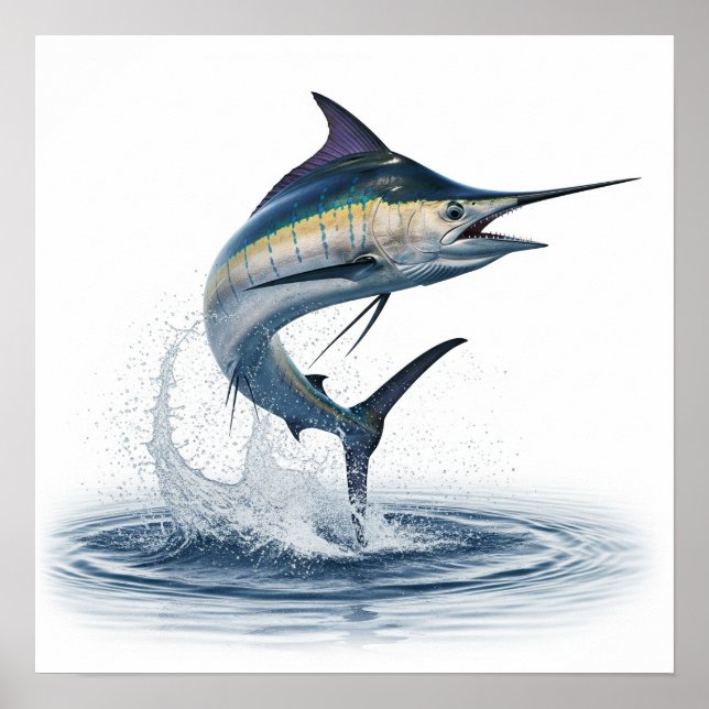 Springfisch Poster (Vorne)