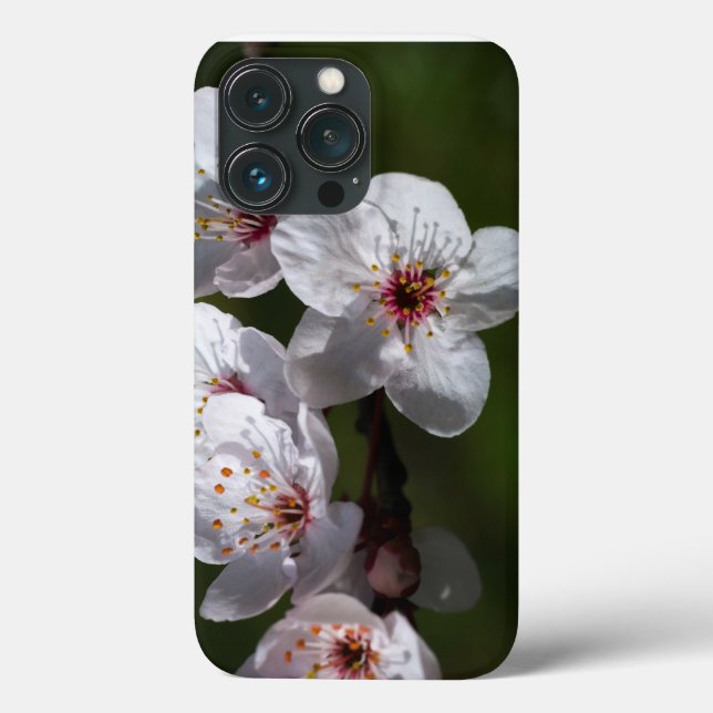 Springflöße für Telefone Case-Mate iPhone Hülle (Rückseite)