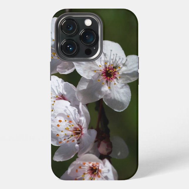 Springflöße für Telefone iPhone Hülle (Hinten)
