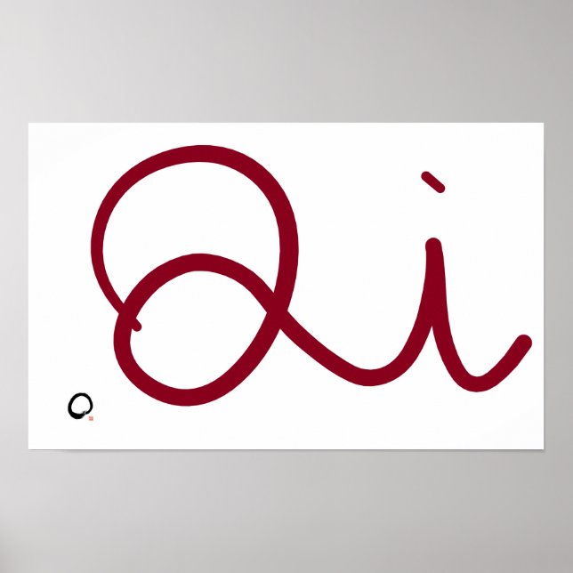 Springkicks Qi Poster (Vorne)