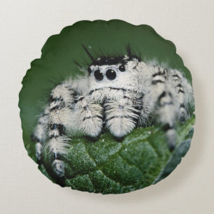 Springspinne der Metaphid Rundes Kissen