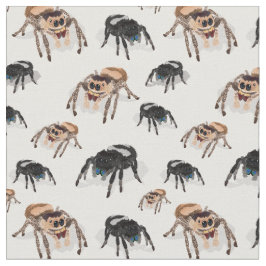 Springspinne Phiddipus Regius White Stoff