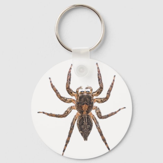 Springspinne Schlüsselanhänger (Vorderseite)
