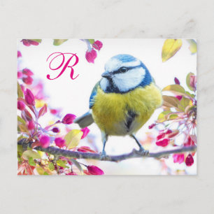 Springtime-Bird-Monogramm Postkarte