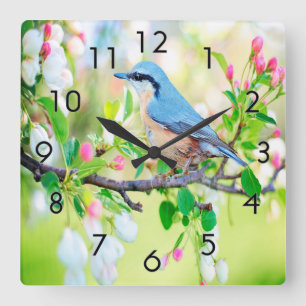 Springtime Blue Jay Quadratische Wanduhr