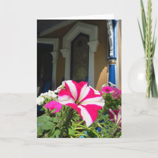 Springtime Blume Box - Martha's Vineyard Karte (Vorderseite)