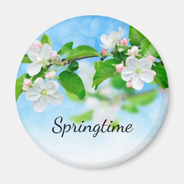 Springtime (Blume von Apfeln) Magnet (Vorne)
