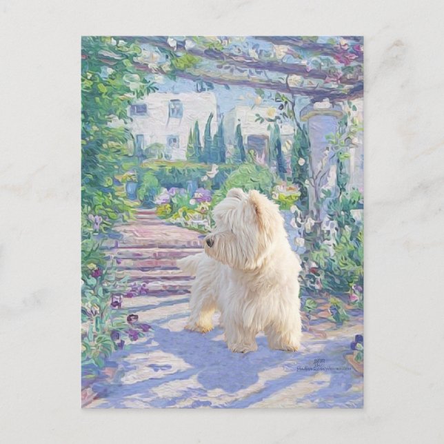 Springtime Bower Postkarte (Vorderseite)