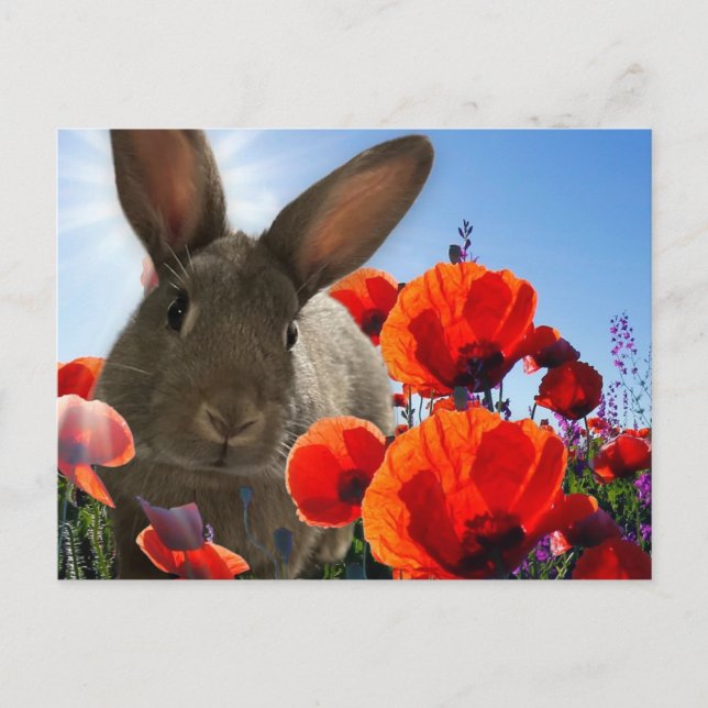 Springtime Bunny Postkarte (Vorderseite)