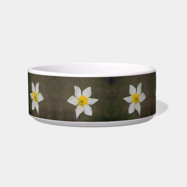Springtime Cat Bowl Napf (Links)