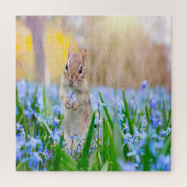 Springtime Chipmunk