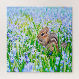 Springtime Chipmunk 2