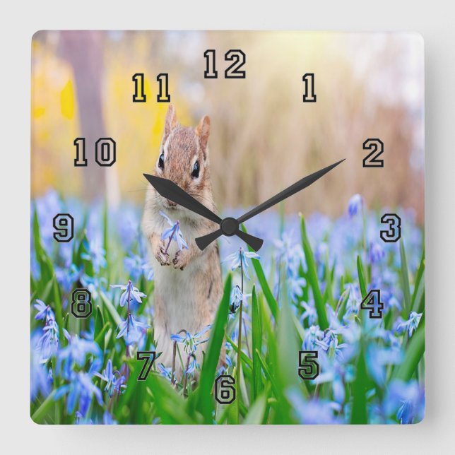 Springtime Chipmunk Quadratische Wanduhr (Vorderseite)