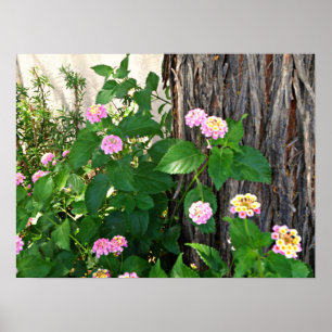 Springtime Duet Poster