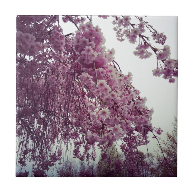 Springtime Fliese (Vorderseite)
