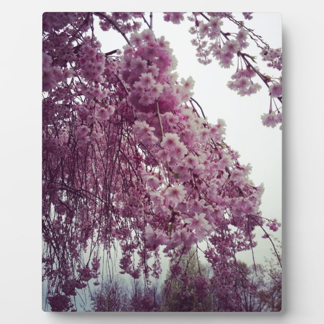 Springtime Fotoplatte (Vorderseite)