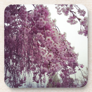 Springtime Getränkeuntersetzer