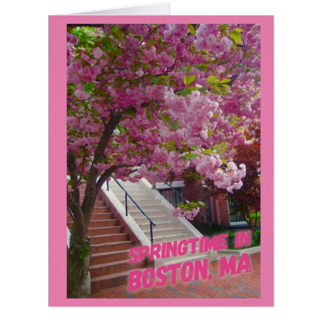 Springtime in Boston, MA (Vorderseite)