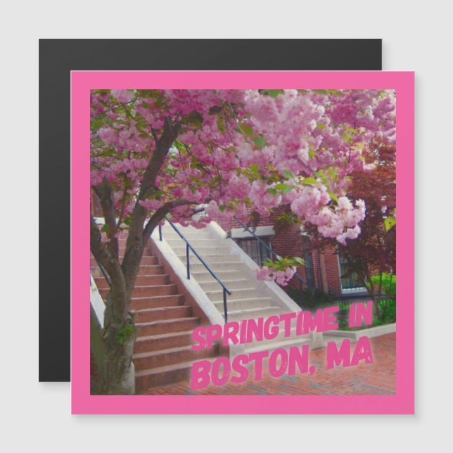 Springtime in Boston, MA Magnetkarte (Vorne/Hinten)