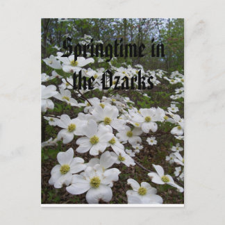 Springtime in den Ozarks Postkarte