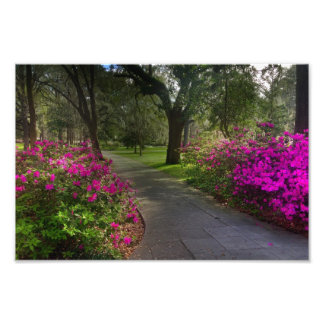 Springtime in Forsyth Park, Savannah Fotodruck